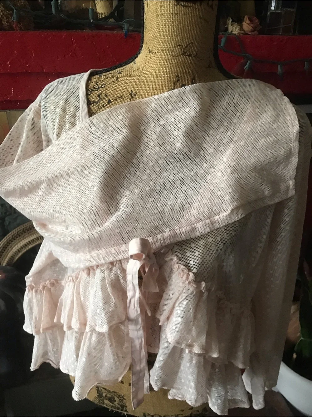 Heart’s Desire by Mary Grace Sheer Blush Pink Ruffled Tie-Front top - Picture 6 of 14